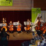 Violoncello on stage