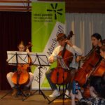 Violoncello on stage