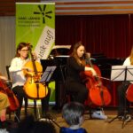 Violoncello on stage