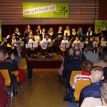 Gesang & Gitarren on stage