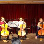 Violoncello on stage