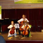 Violoncello on stage