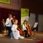 Violoncello on stage