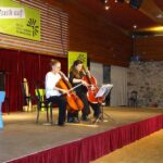 Violoncello on stage