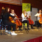 Violoncello on stage