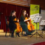 Violoncello on stage