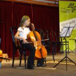 Violoncello on stage