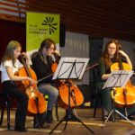 Violoncello on stage