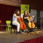 Violoncello on stage