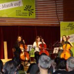 Violoncello on stage