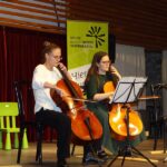 Violoncello on stage