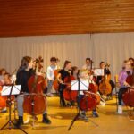 Violoncello on stage