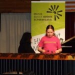 Mallets on stage