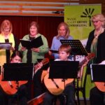 Gesang & Gitarre on stage