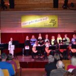 Gesang & Gitarre on stage