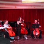 Violoncello on stage