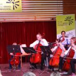 Violoncello on stage